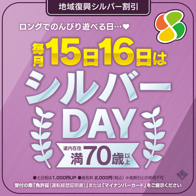 �V���o�[DAY